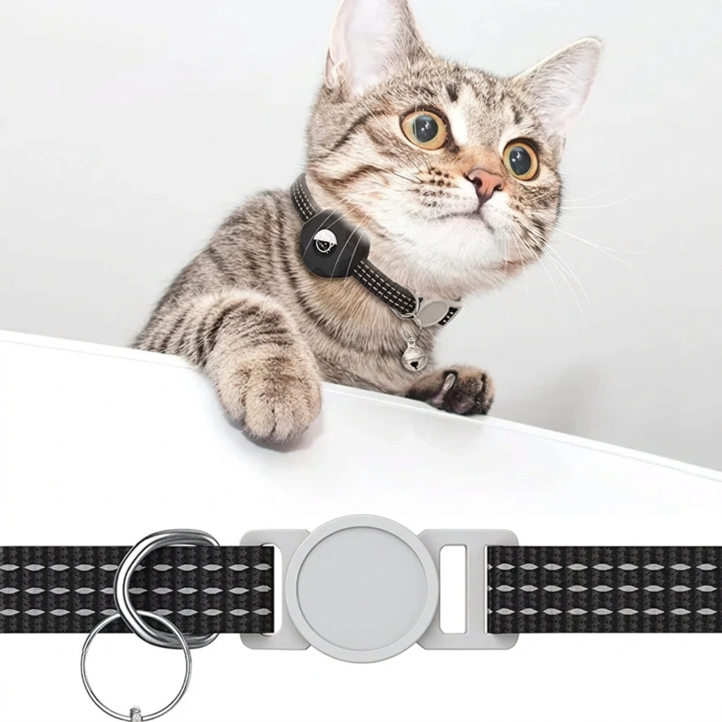 Cat wearing a black pet collar with a breakaway safety feature on a white background