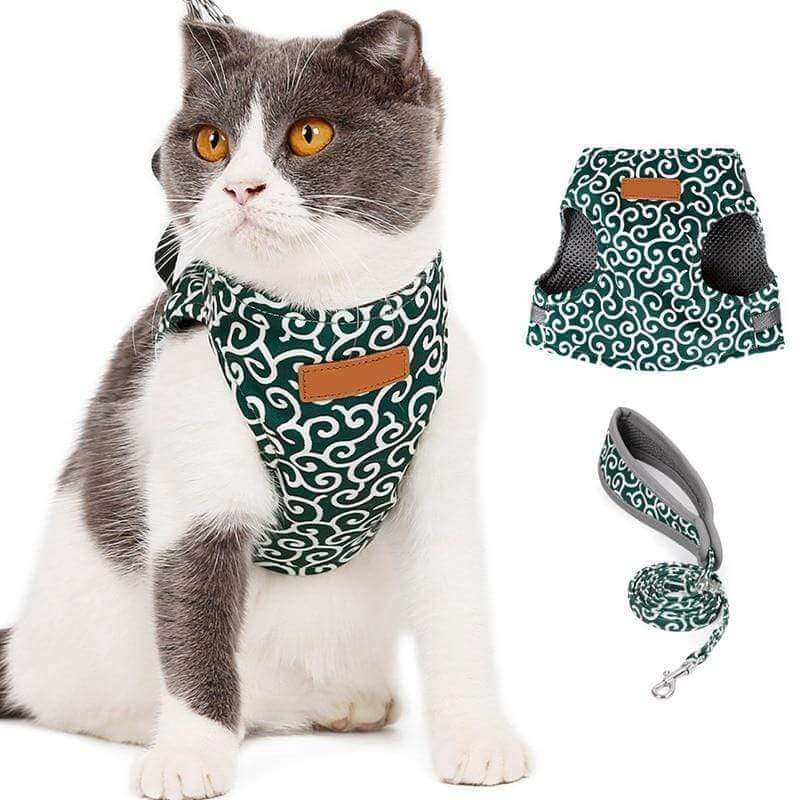Cat Harness and Leash Set – Escape Proof Adjustable Mesh Vest Harness with Quick Release & 4 ft Leash, XS-S, Blue, Green or Red