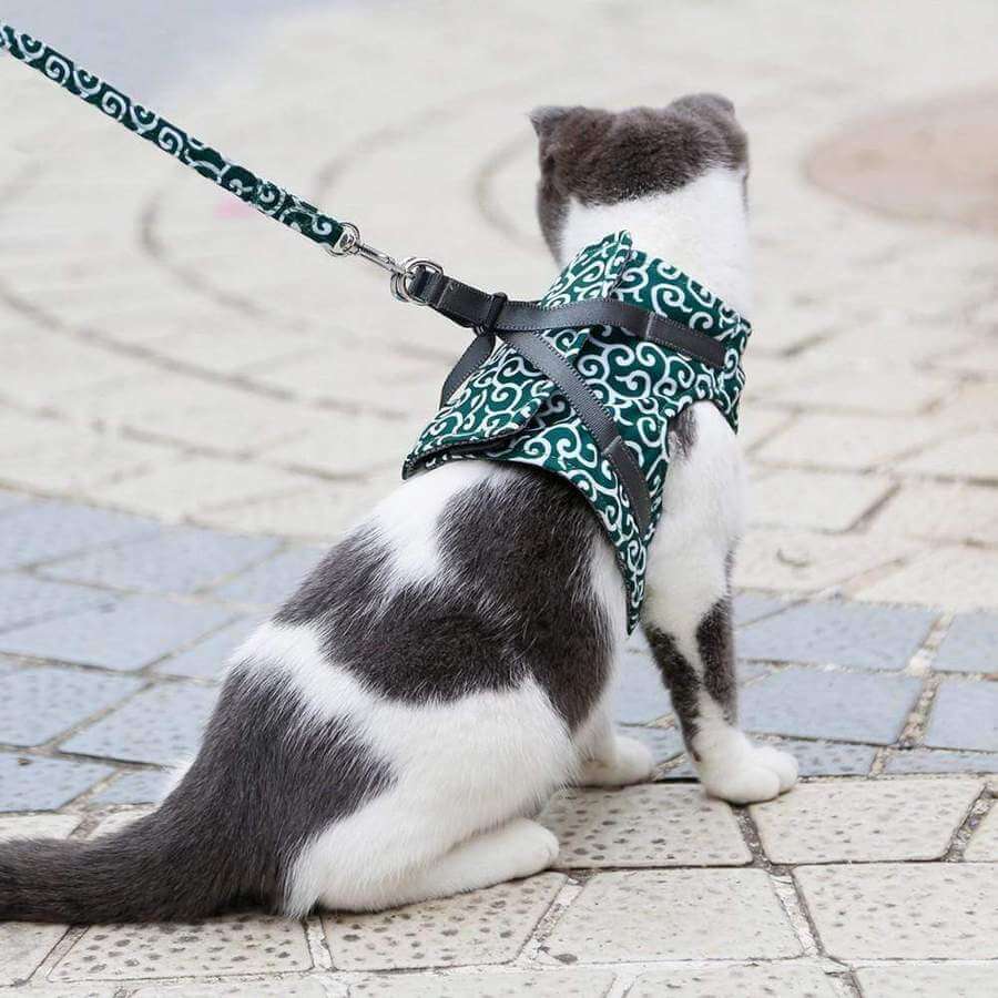Cat Harness and Leash Set – Escape Proof Adjustable Mesh Vest Harness with Quick Release & 4 ft Leash, XS-S, Blue, Green or Red