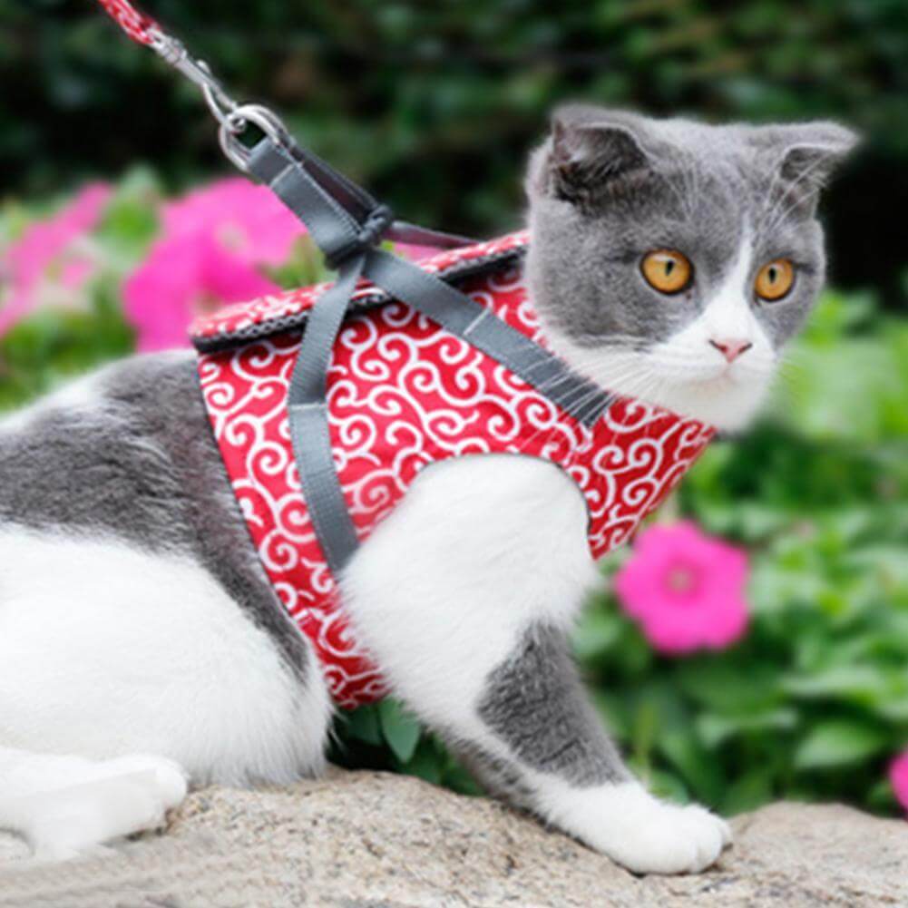Cat Harness and Leash Set – Escape Proof Adjustable Mesh Vest Harness with Quick Release & 4 ft Leash, XS-S, Blue, Green or Red