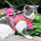 Cat Harness and Leash Set – Escape Proof Adjustable Mesh Vest Harness with Quick Release & 4 ft Leash, XS-S, Blue, Green or Red