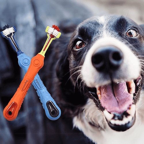 2-Piece Three-Sided Pet Toothbrush – Dog Toothbrush for Plaque & Bad Breath, Dental Care for Healthy Teeth - Nalani - Fashion Clothing and Decor