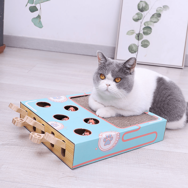 3-in-1 Interactive Cat Toy with Scratcher – Compact Cat Activity Center & Scratch Pad, 14 x 10 x 2.4 in - Nalani - Fashion Clothing and Decor