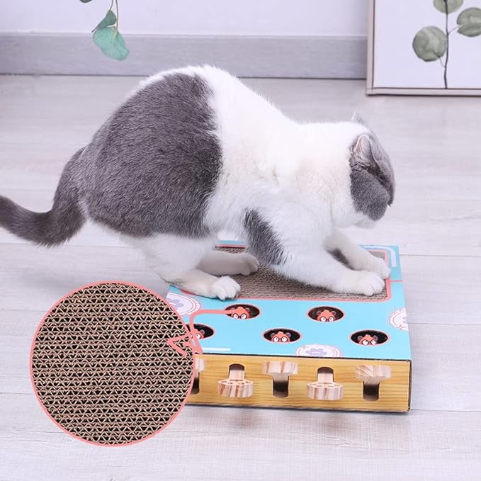 3-in-1 Interactive Cat Toy with Scratcher – Compact Cat Activity Center & Scratch Pad, 14 x 10 x 2.4 in - Nalani - Fashion Clothing and Decor