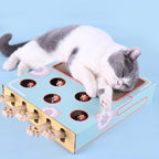 3-in-1 Interactive Cat Toy with Scratcher – Compact Cat Activity Center & Scratch Pad, 14 x 10 x 2.4 in - Nalani - Fashion Clothing and Decor