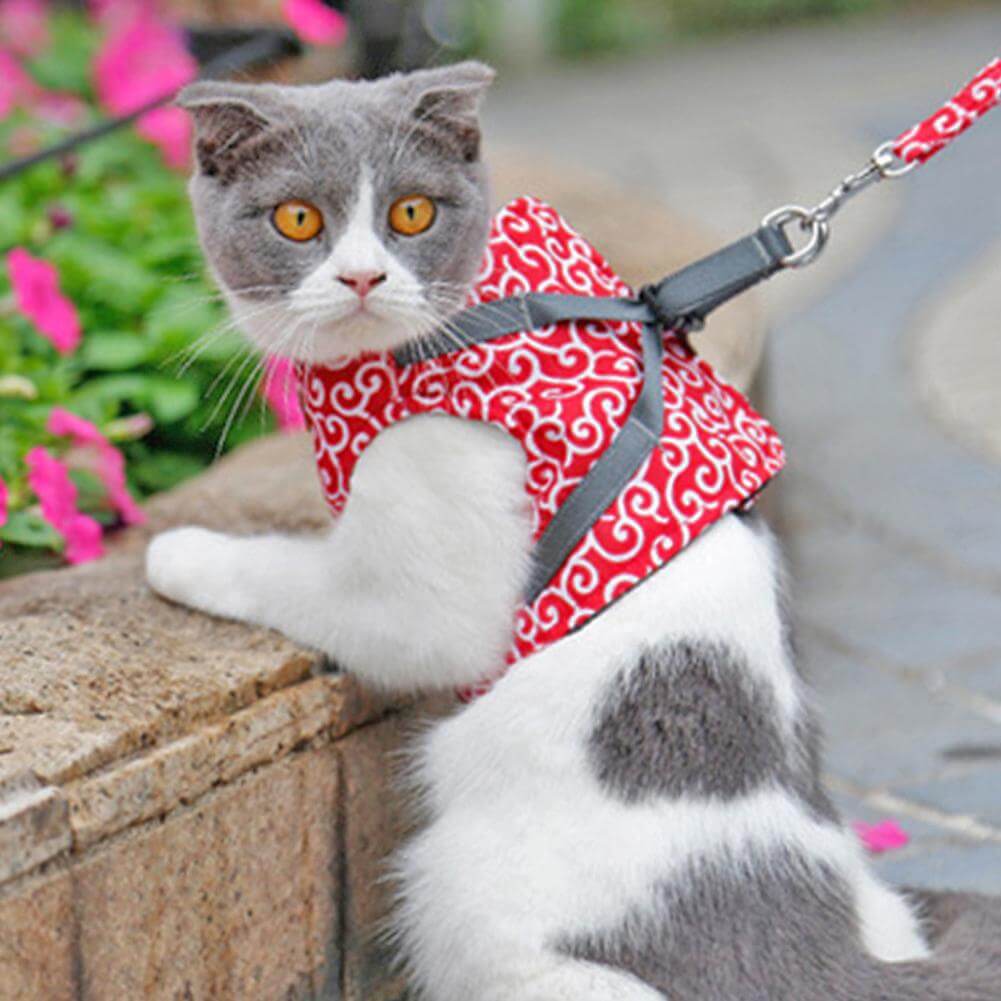 Cat Harness and Leash Set – Escape Proof Adjustable Mesh Vest Harness with Quick Release & 4 ft Leash, XS-S, Blue, Green or Red - Nalani - Fashion Clothing and Decor