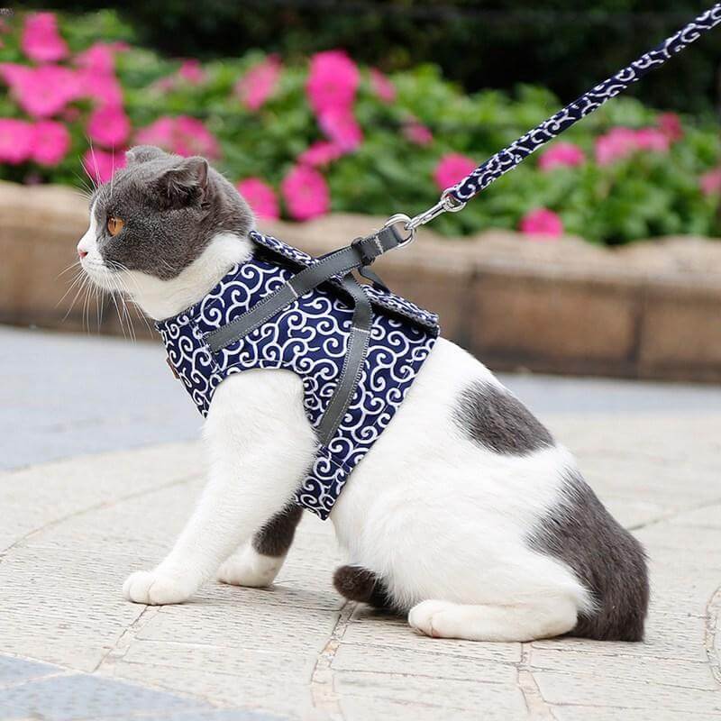 Cat Harness and Leash Set – Escape Proof Adjustable Mesh Vest Harness with Quick Release & 4 ft Leash, XS-S, Blue, Green or Red - Nalani - Fashion Clothing and Decor