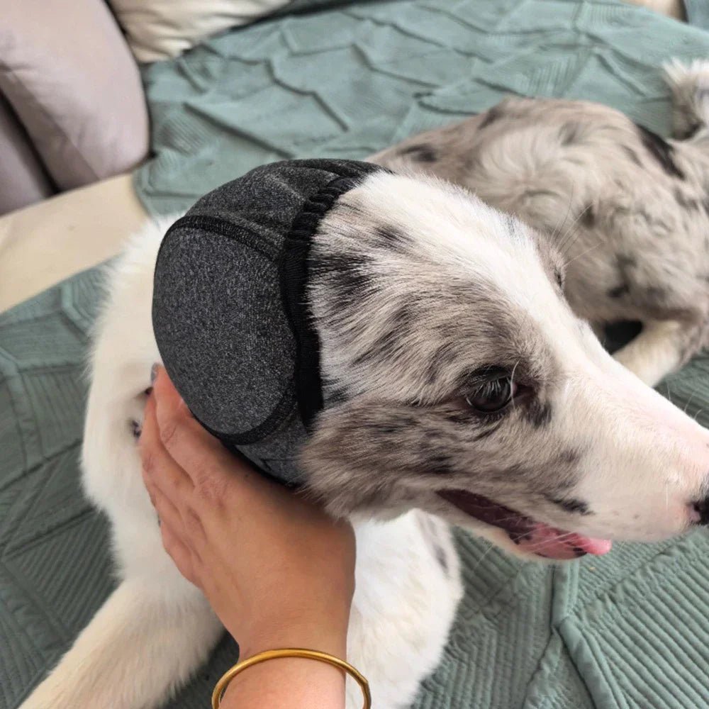 Dog Noise Cancelling Ear Muffs & Waterproof Swimming Cap - Soundproof Anxiety Relief Snood, Calming Pet Headgear for Fireworks, Grooming & Thunder - Nalani - Fashion Clothing and Decor
