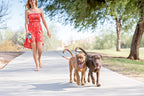 Double Dog Leash – Tangle-Free Dual Leash for 2 Dogs with 360° Swivel, Reflective – WalkMate - Nalani - Fashion Clothing and Decor