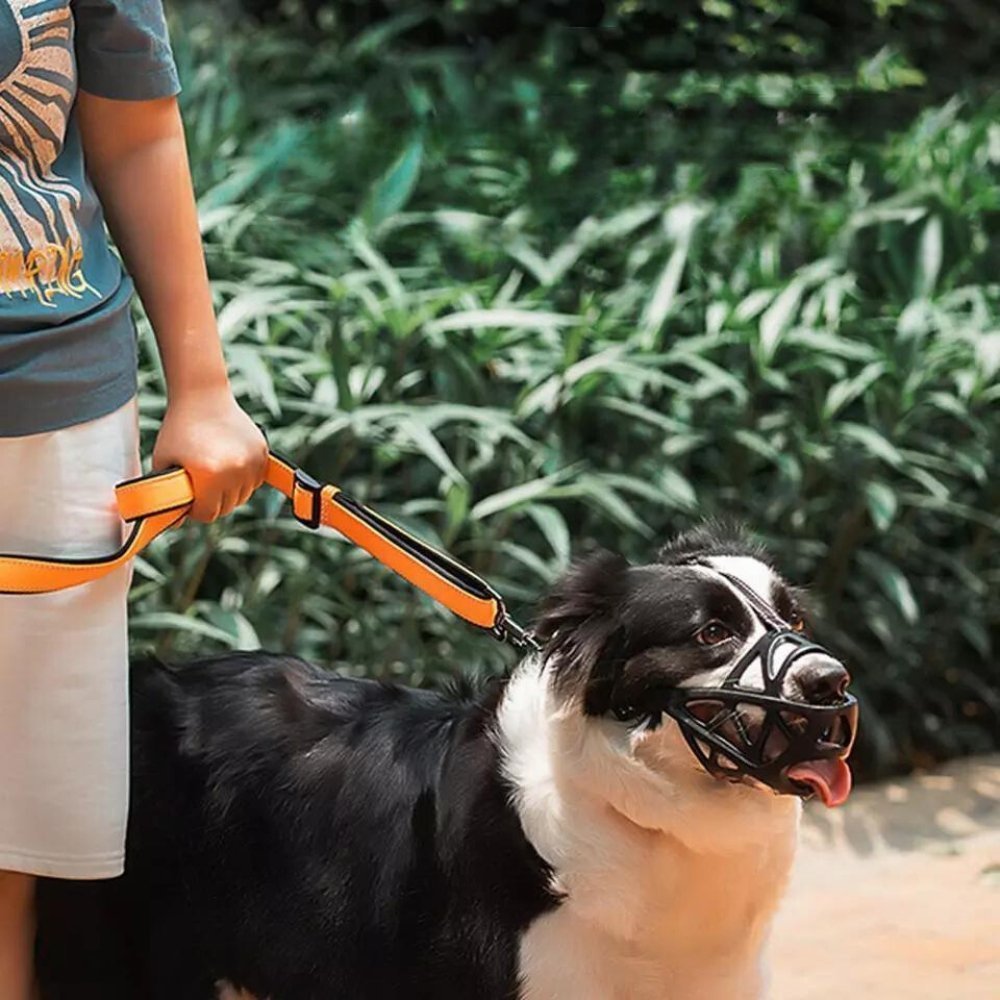 Gentle Dog Muzzle for Safe Everyday Situations - Soft Breathable Mesh Anti-Biting & Chewing Muzzle with Adjustable Straps for Panting & Drinking - Nalani - Fashion Clothing and Decor
