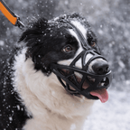 Gentle Dog Muzzle for Safe Everyday Situations - Soft Breathable Mesh Anti-Biting & Chewing Muzzle with Adjustable Straps for Panting & Drinking - Nalani - Fashion Clothing and Decor