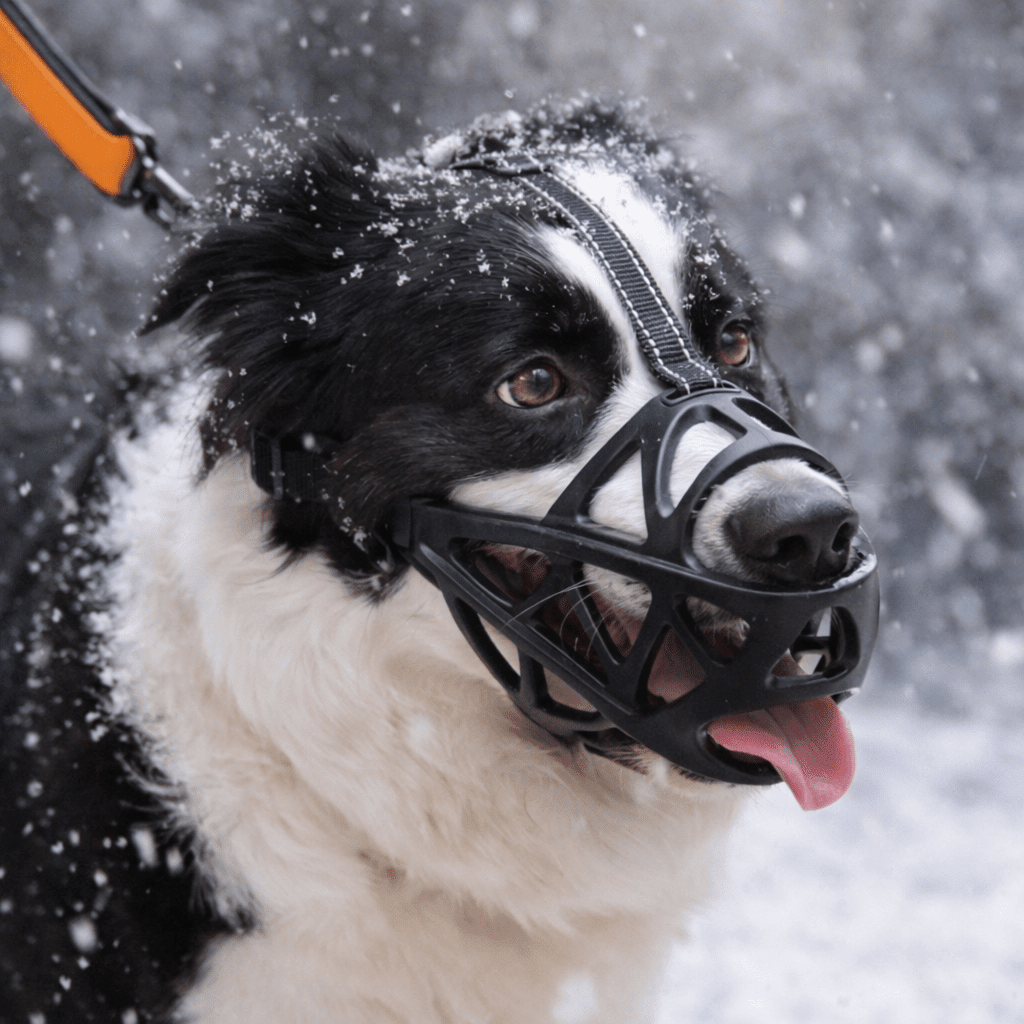 Gentle Dog Muzzle for Safe Everyday Situations - Soft Breathable Mesh Anti-Biting & Chewing Muzzle with Adjustable Straps for Panting & Drinking - Nalani - Fashion Clothing and Decor