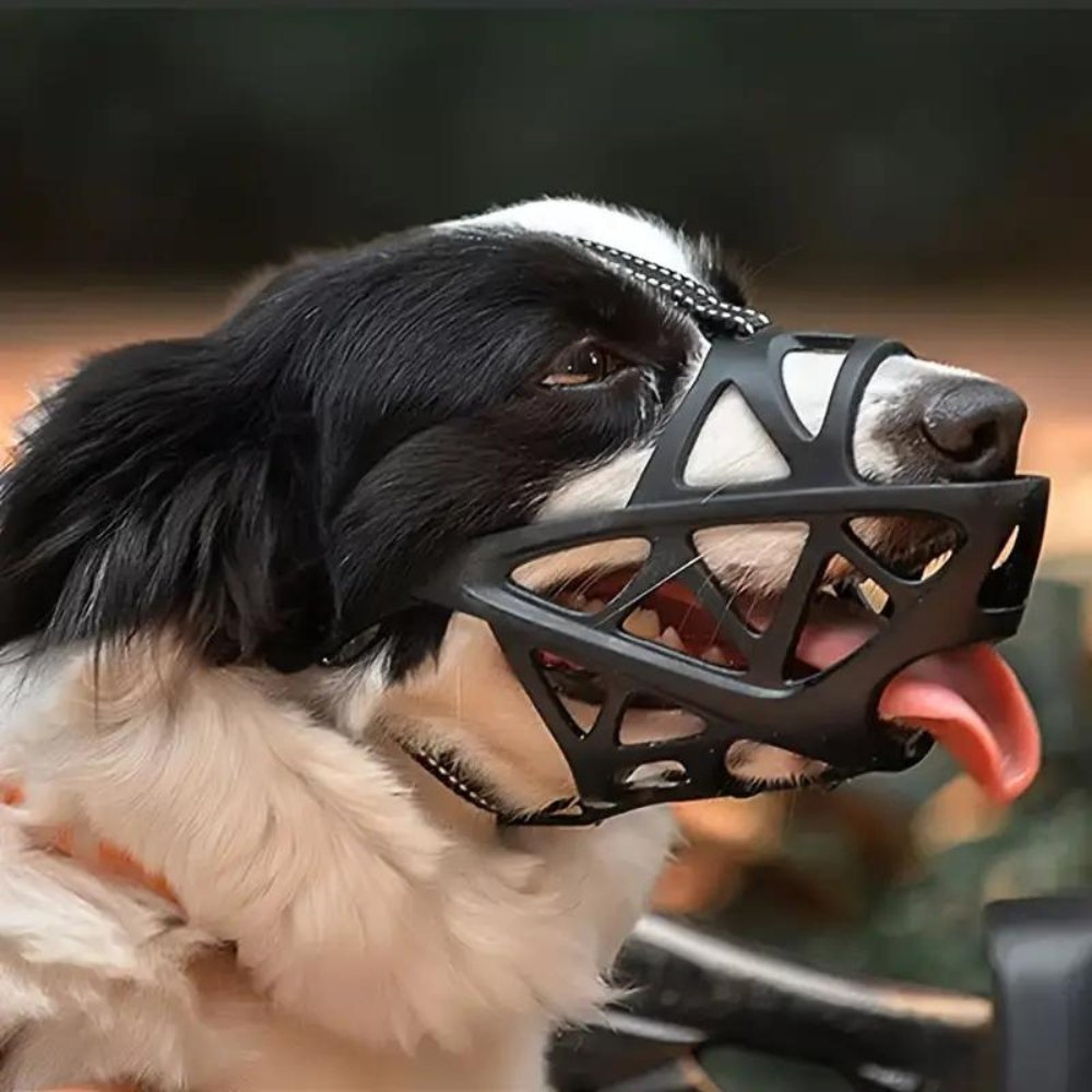 Gentle Dog Muzzle for Safe Everyday Situations - Soft Breathable Mesh Anti-Biting & Chewing Muzzle with Adjustable Straps for Panting & Drinking - Nalani - Fashion Clothing and Decor