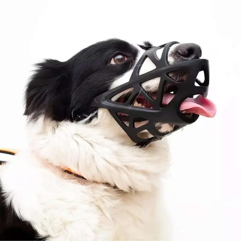 Gentle Dog Muzzle for Safe Everyday Situations - Soft Breathable Mesh Anti-Biting & Chewing Muzzle with Adjustable Straps for Panting & Drinking - Nalani - Fashion Clothing and Decor