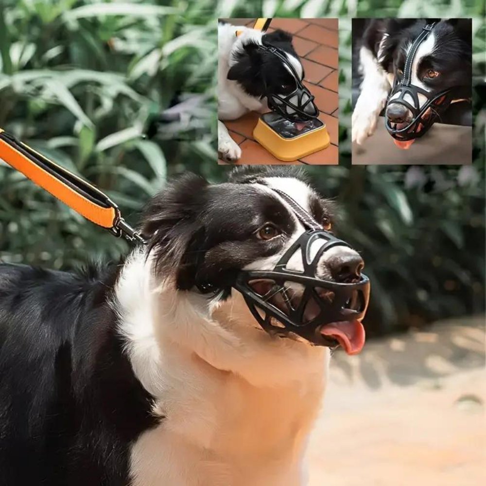 Gentle Dog Muzzle for Safe Everyday Situations - Soft Breathable Mesh Anti-Biting & Chewing Muzzle with Adjustable Straps for Panting & Drinking - Nalani - Fashion Clothing and Decor