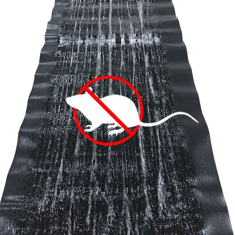 Glue Traps for Mice and Rats – Poison-Free, Set of 10, Large Sticky Surface with Strong Adhesive – for Home, Garage & Shed - Nalani - Fashion Clothing and Decor