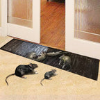 Glue Traps for Mice and Rats – Poison-Free, Set of 10, Large Sticky Surface with Strong Adhesive – for Home, Garage & Shed - Nalani - Fashion Clothing and Decor