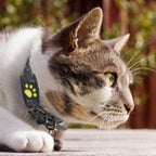 GPS Tracker for Dogs & Cats – Compact Pet Tracker with App Location & Rechargeable Battery, Attaches to Collar - Nalani - Fashion Clothing and Decor