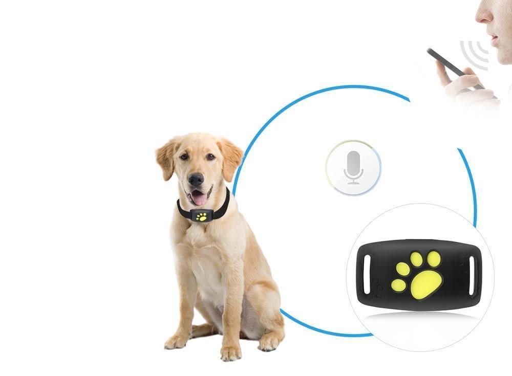 GPS Tracker for Dogs & Cats – Compact Pet Tracker with App Location & Rechargeable Battery, Attaches to Collar - Nalani - Fashion Clothing and Decor