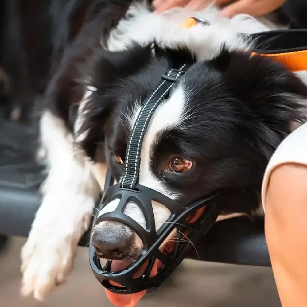 Soft Mesh Dog Muzzle – Breathable, Adjustable Muzzle to Prevent Biting and Chewing – for Walks, Training & Vet Visits, S–XL - Nalani - Fashion Clothing and Decor