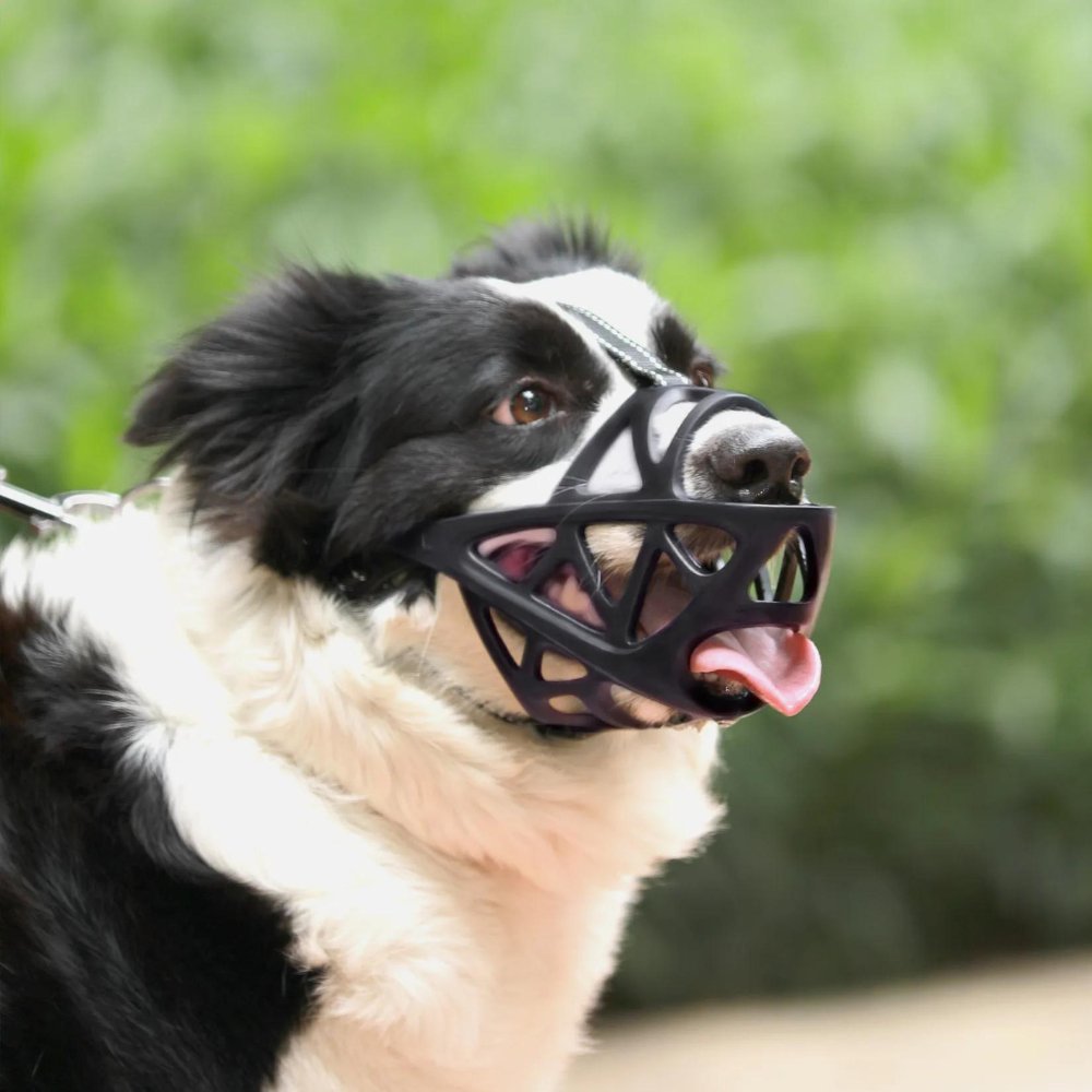 Soft Mesh Dog Muzzle – Breathable, Adjustable Muzzle to Prevent Biting and Chewing – for Walks, Training & Vet Visits, S–XL - Nalani - Fashion Clothing and Decor