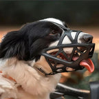 Soft Mesh Dog Muzzle – Breathable, Adjustable Muzzle to Prevent Biting and Chewing – for Walks, Training & Vet Visits, S–XL - Nalani - Fashion Clothing and Decor