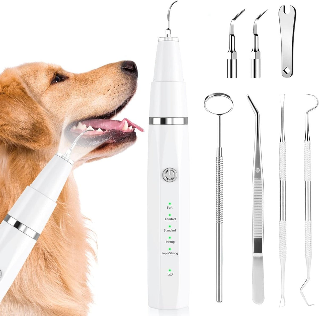 Ultrasonic Pet Tartar Remover & Dental Calculus Scaler - Electric Dog & Cat Plaque Cleaning Tool with Replaceable Heads & LED Light - Nalani - Fashion Clothing and Decor